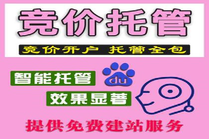 百度搜索推广实战经验：经典案例启示录